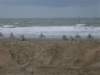 strandcrossscheveningen022_small.jpg